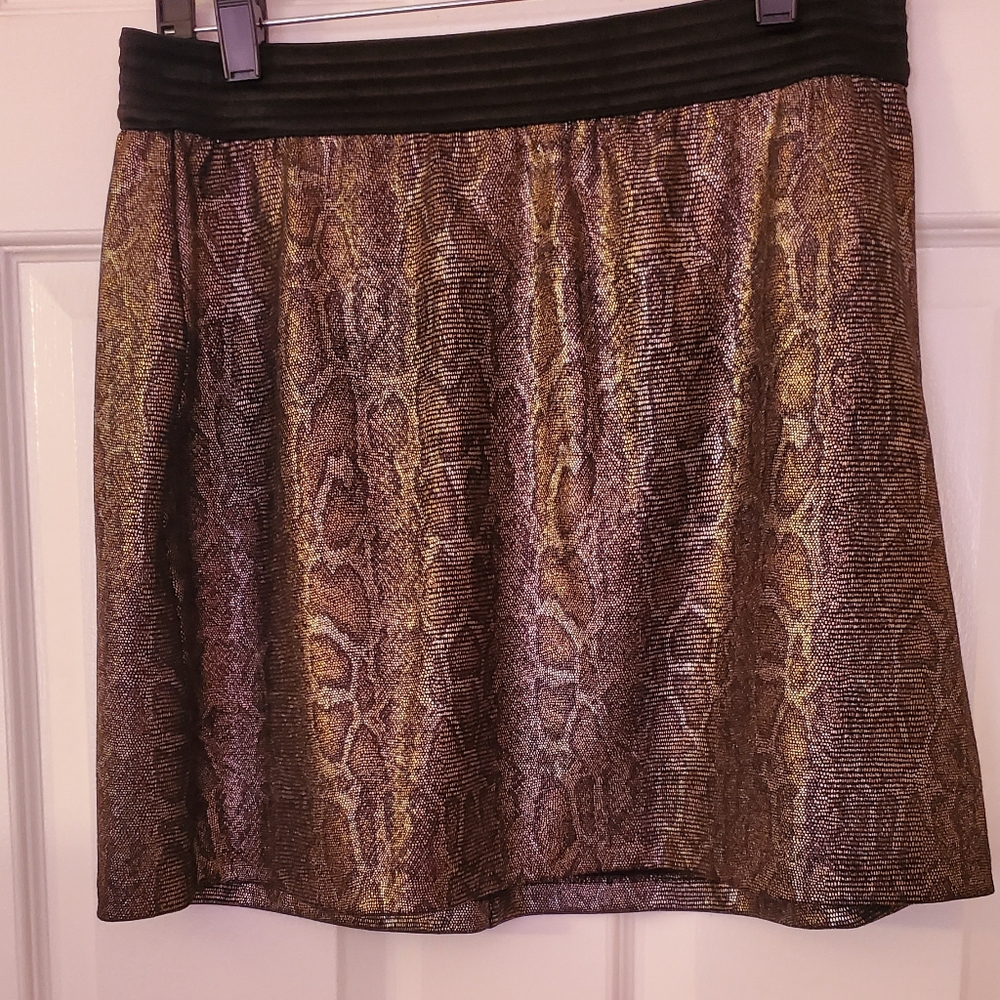 Cheetah Print Mini Skirt